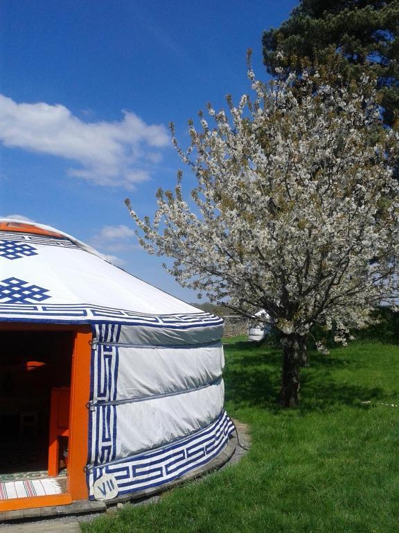 Yourte Nomade-Lodge Les Ecrennes Zimmer foto